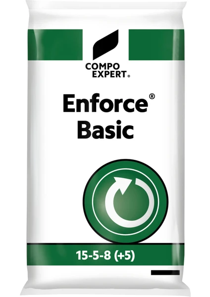 Enforce Basic 15 5 8