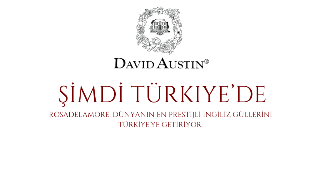 Bahçe gülleri