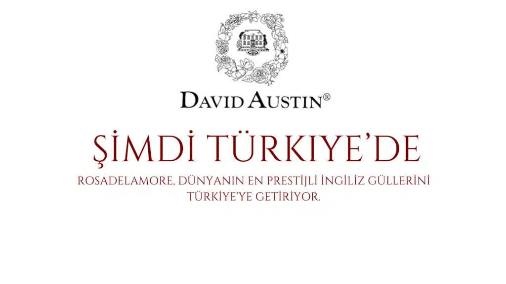 Bahçe gülleri