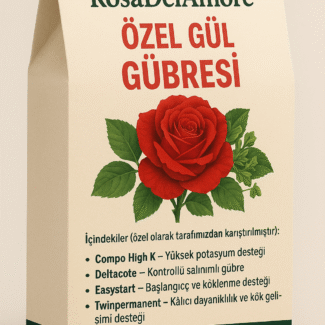 Bahçe Peyzaj