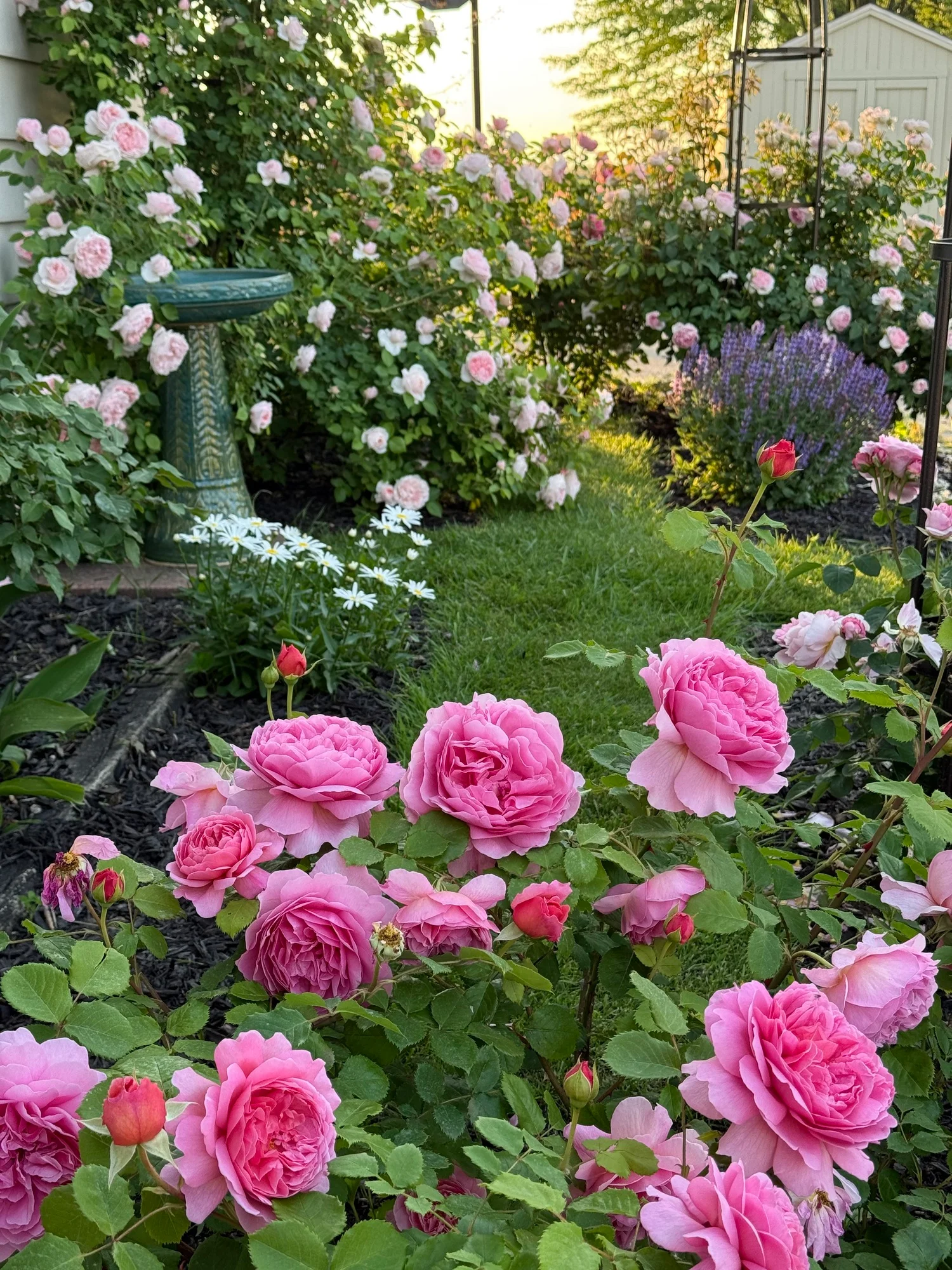 29ef3910ceff0dd62923 Princess Alexandra of Kent