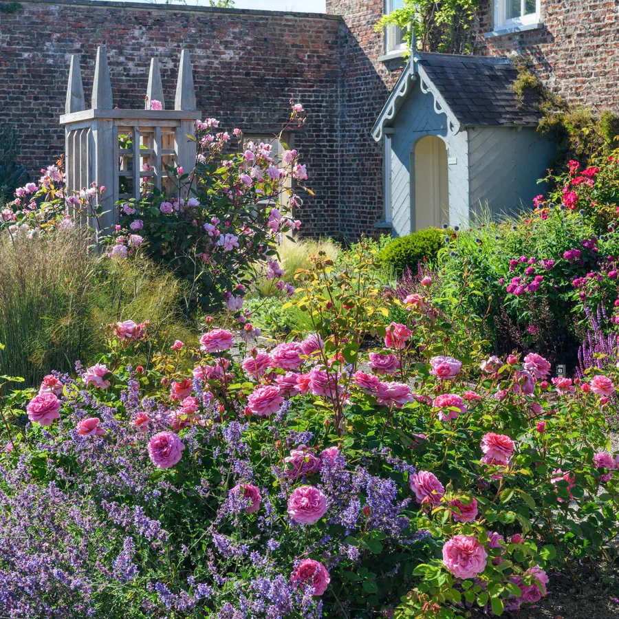 4b418816515b1891e53560be66043c14 Princess Alexandra of Kent