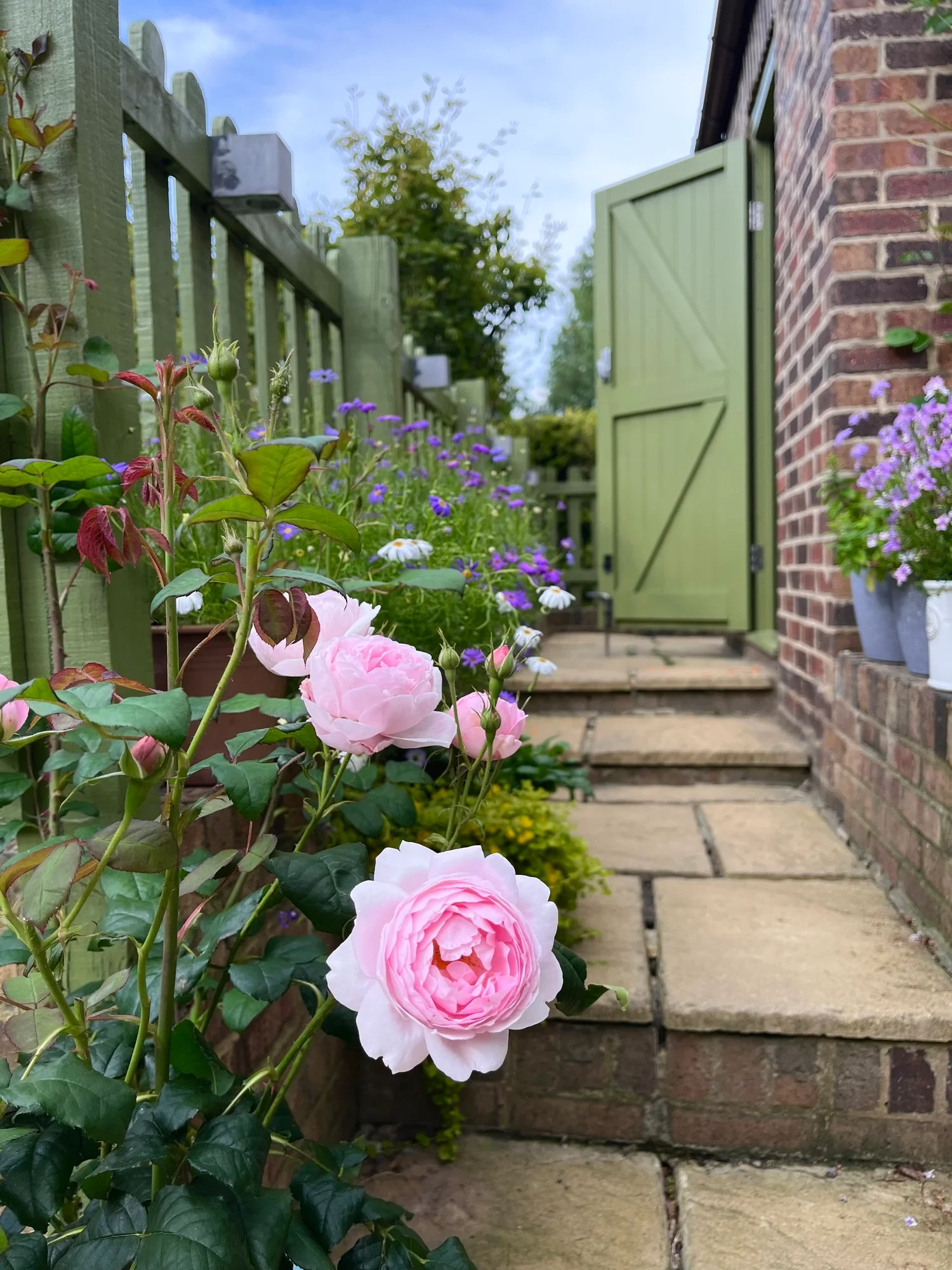 f2f6e48a2ff086096b5e (2) Scepter’d Isle