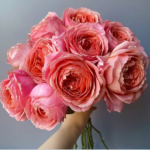 Freelander® Wabara Miyabi Florist Roses 1