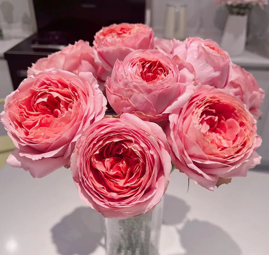 Ekran görüntüsü 2026-02-22 235616