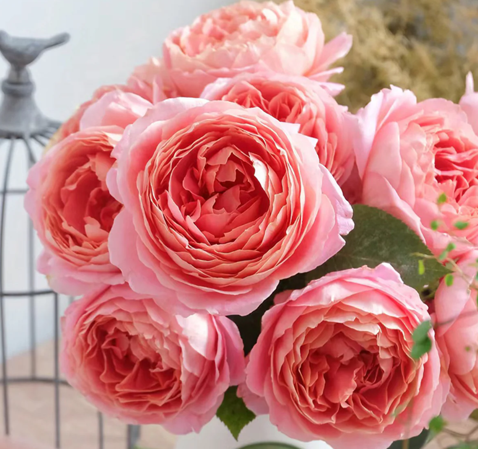 Ekran görüntüsü 2026-02-22 235626