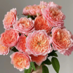 Freelander® Wabara Miyabi Florist Roses 8