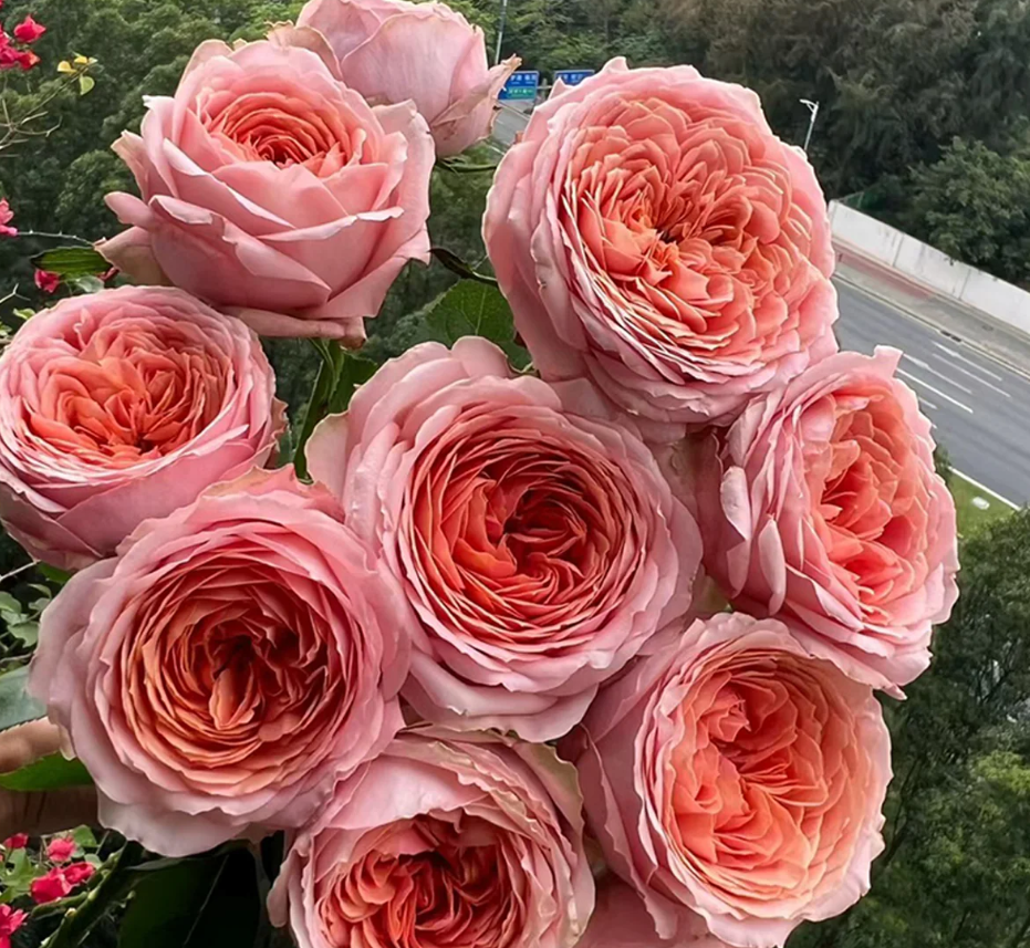 Ekran görüntüsü 2026-02-22 235647