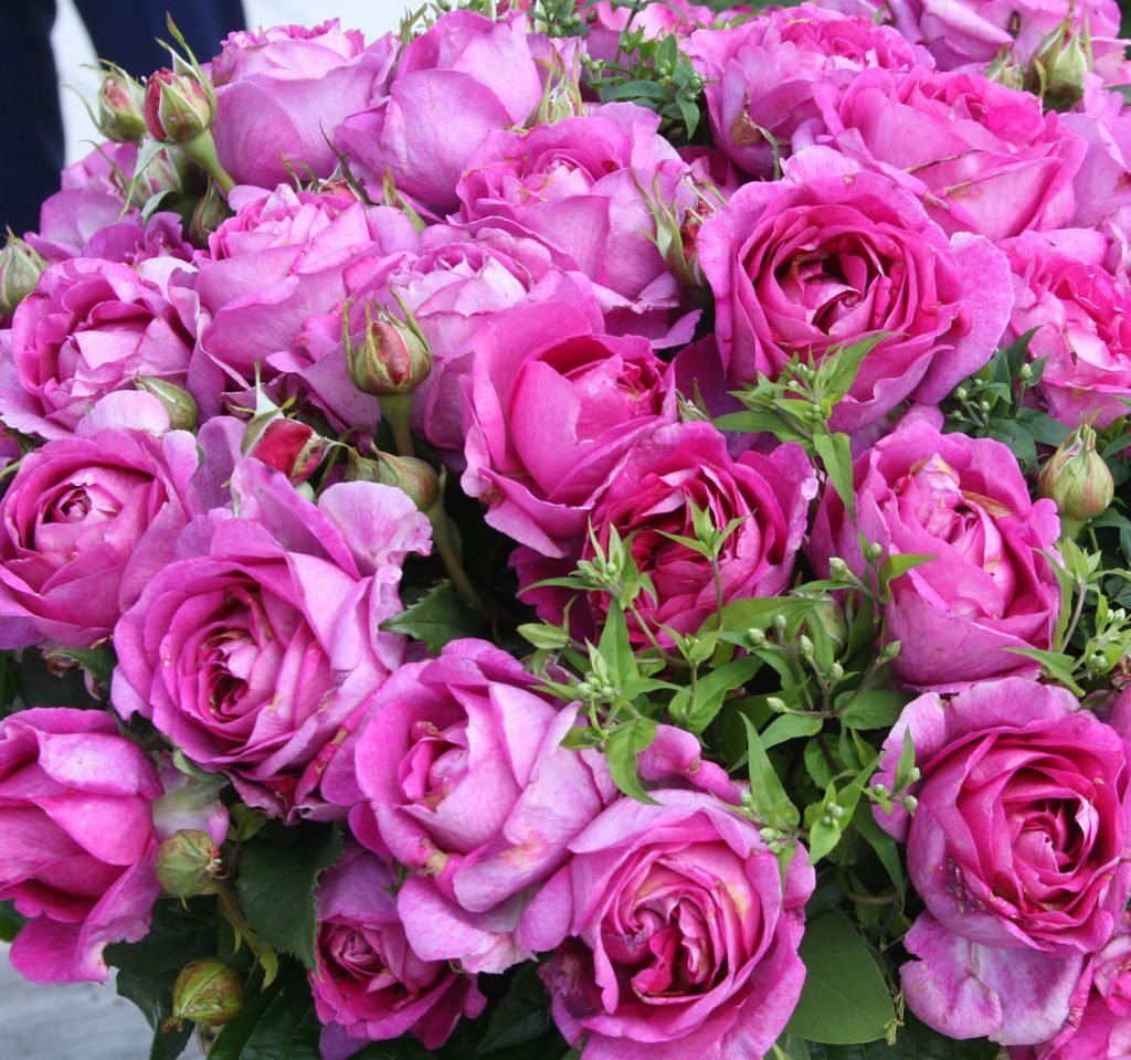 Catherine de Médicis