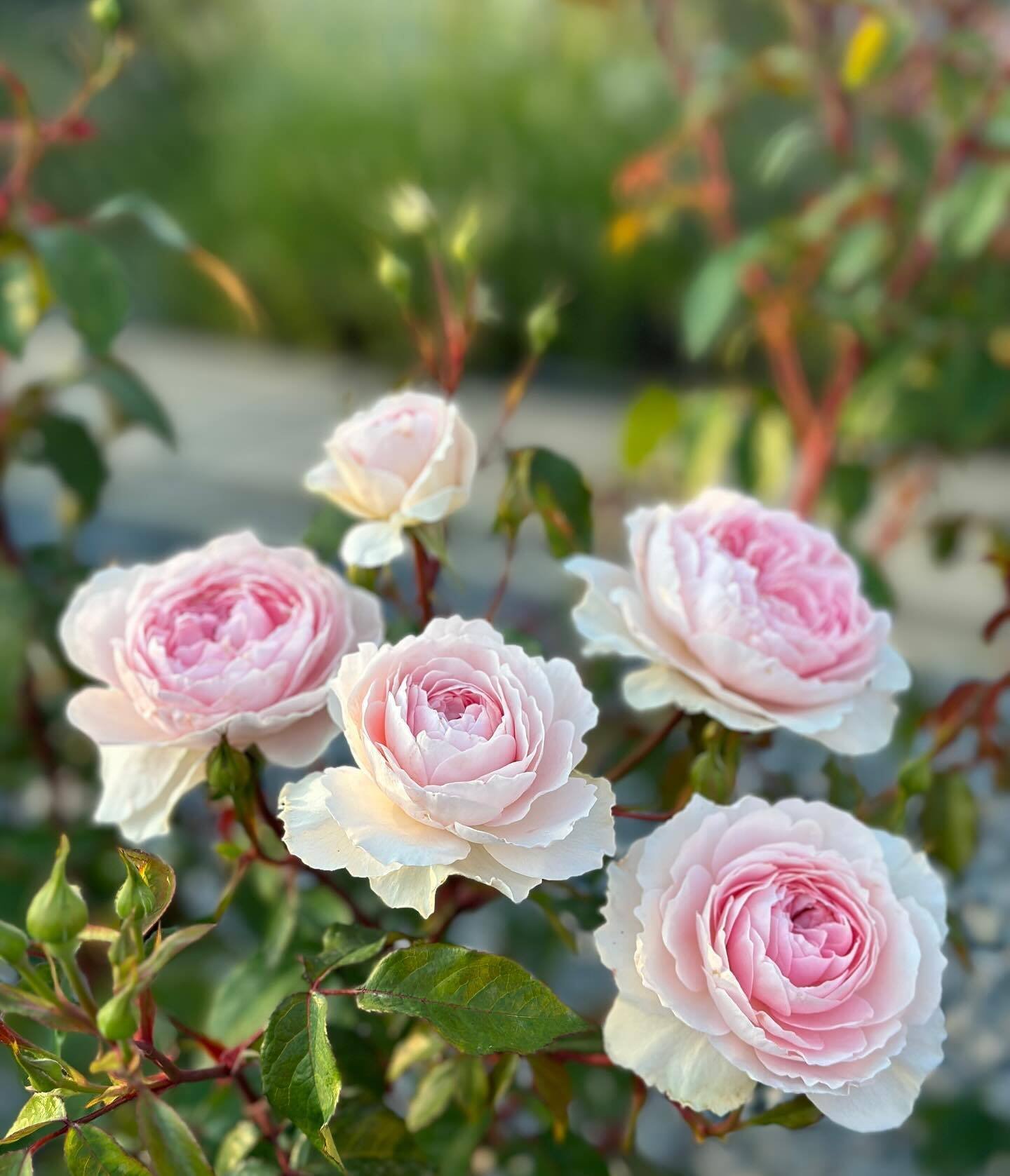 639e5812ab5e79c43136