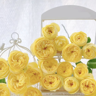 Bahçe Peyzaj Örnekleri 35 Fikir 43 Bahçe Peyzaj