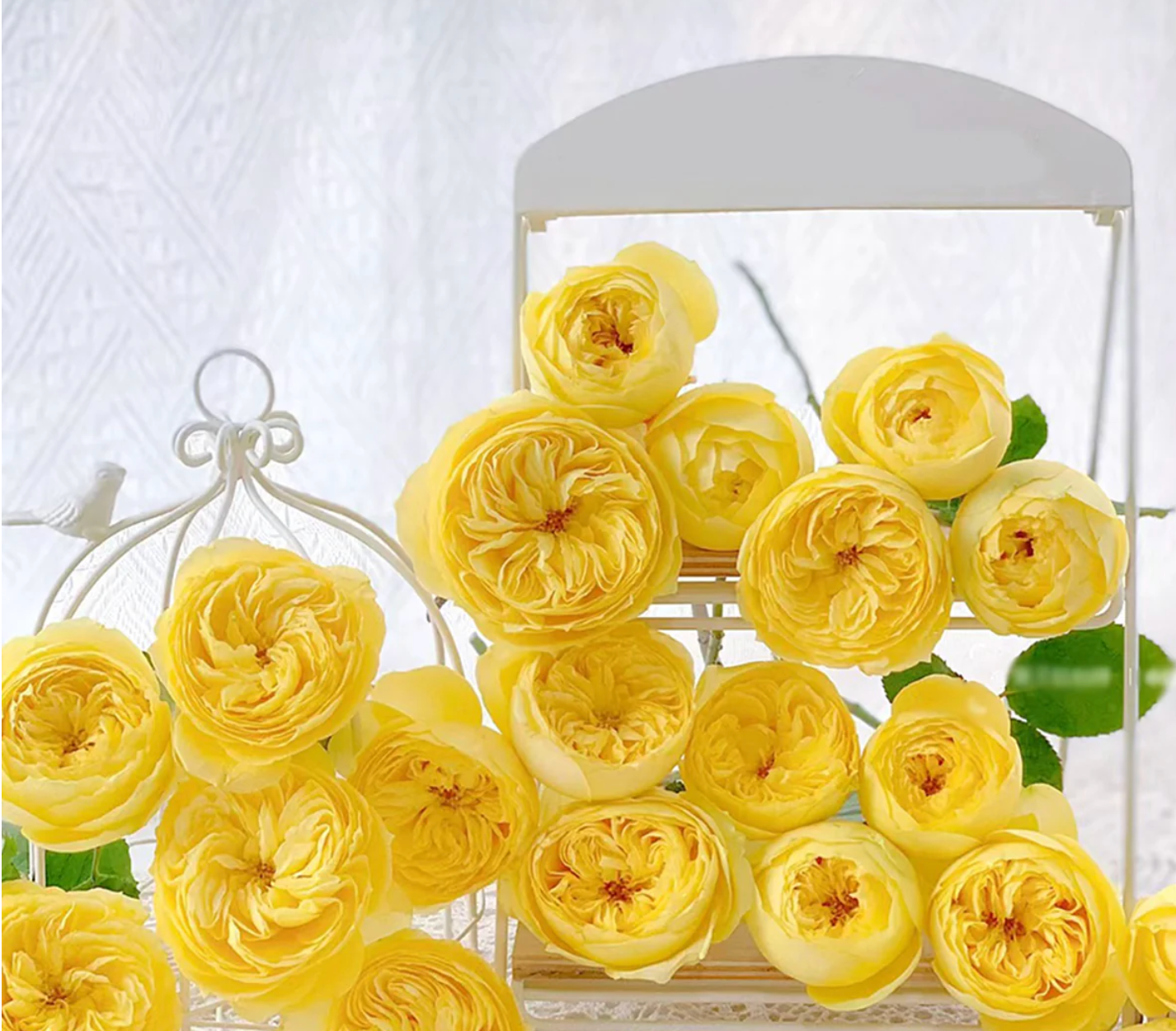 Ekran Resmi 2026-02-28 22.25.23 Catalina