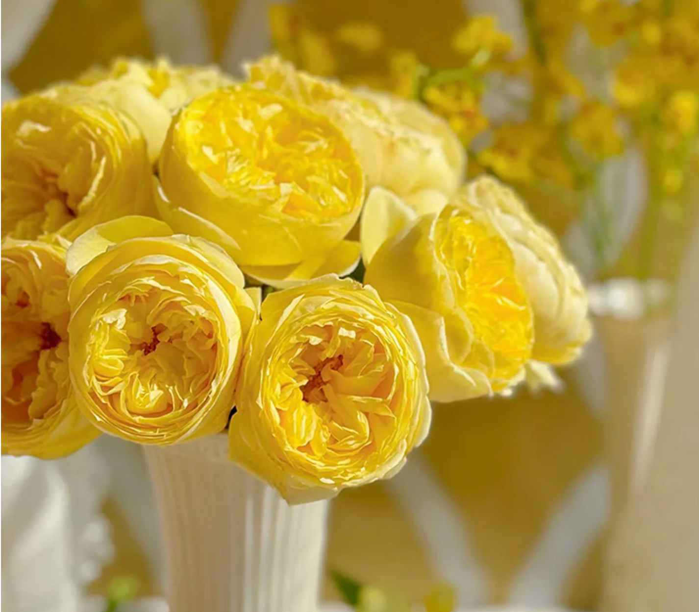 Ekran Resmi 2026-02-28 22.26.26 Catalina