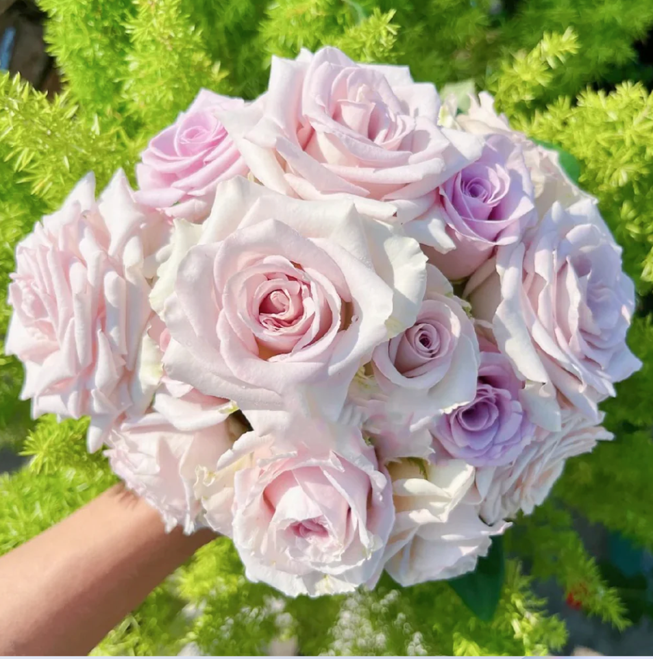 Ekran Resmi 2026-03-24 22.42.01