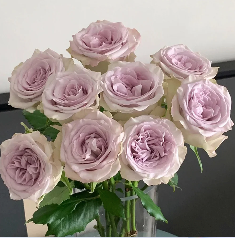 Ekran Resmi 2026-03-24 22.42.36