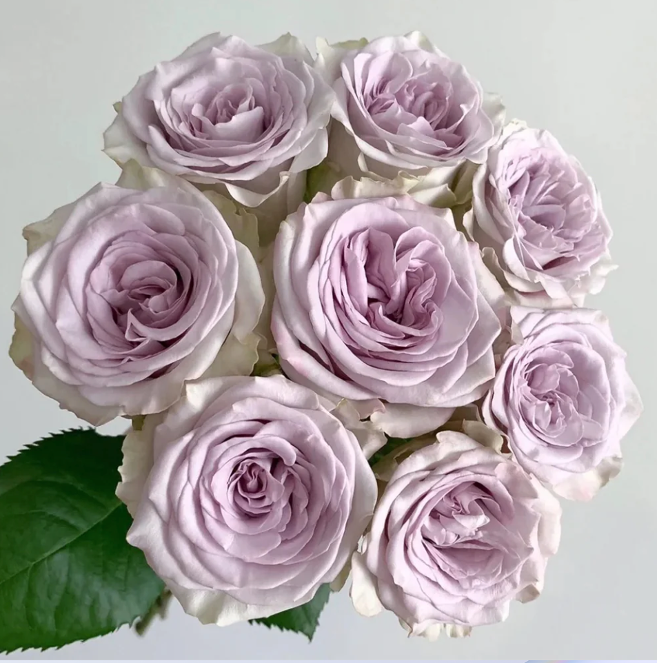 Ekran Resmi 2026-03-24 22.42.41