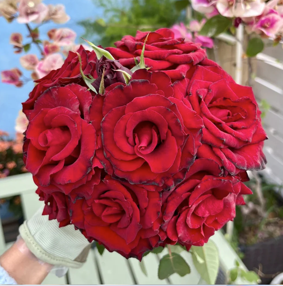 Ekran Resmi 2026-03-24 23.02.40