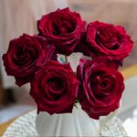 Black Pearl® - Deep Black French Florist Roses 1