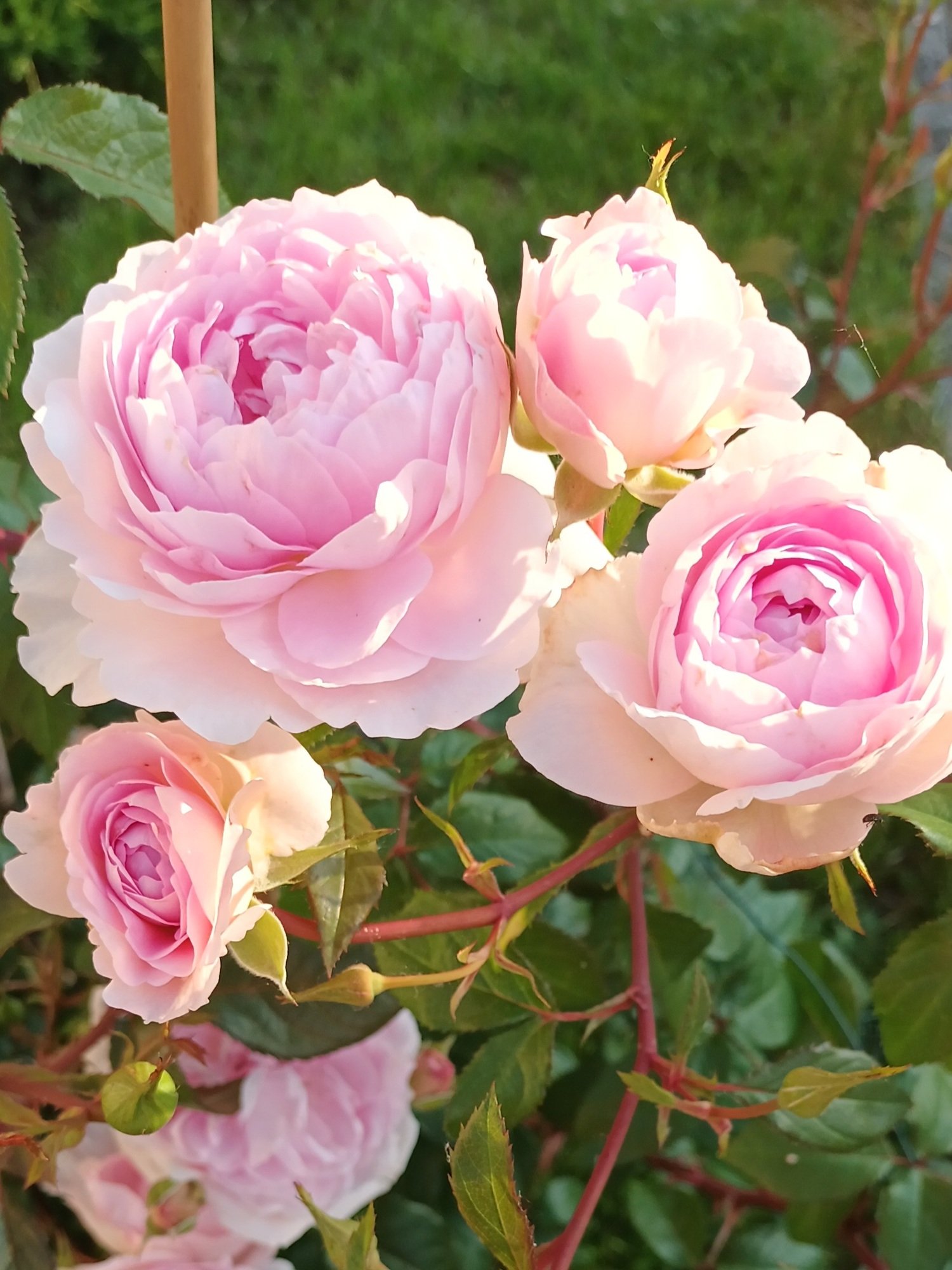 d81443434822f8573d13