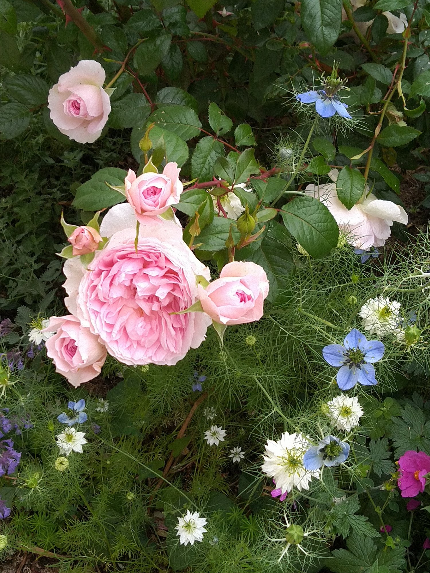 f1f340702345f6fa6aad