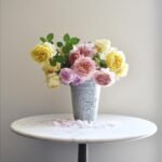 Royal Jubilee (Auspaddle) 9