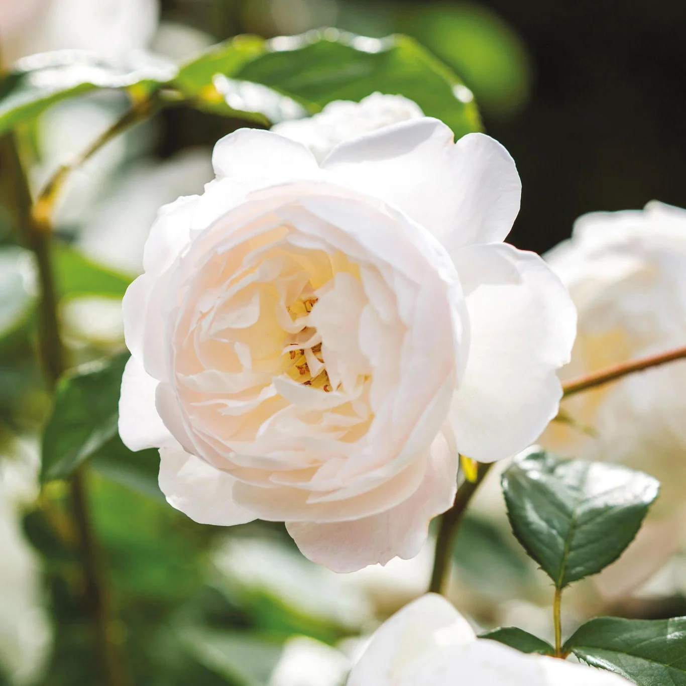 76519ffdefde6d70b0fae26a5c15c133.jpg