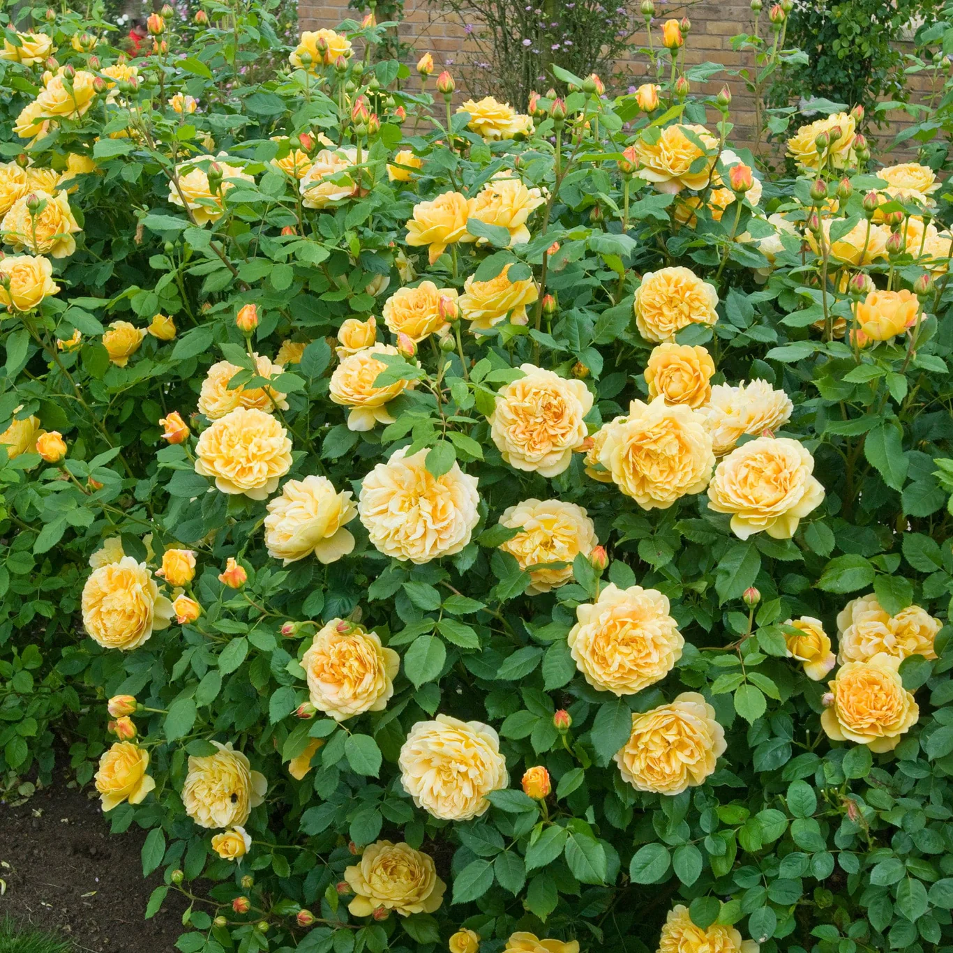 b0213a0bb1a5371390c91bee508b84d0.jpg