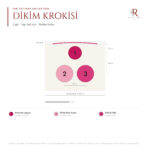 The Cottage Collection · 3 Gül · Pembe Tonlar 2