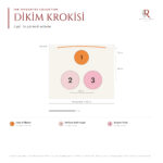 The Favourites Collection 3 Gül 2