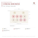 The Estate Collection · 10 Gül · Beyaz ve Pudra 2
