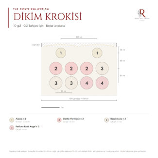 Aşılı Bahçe Gülleri & Gül Fidanı Çeşitleri | RosaDelAmore 96 Bahçe gülleri